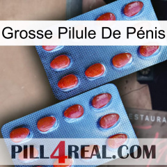Grosse Pilule De Pénis 05